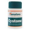 world-store-rx-e-Cystone